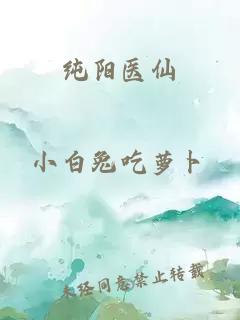 纯阳医仙